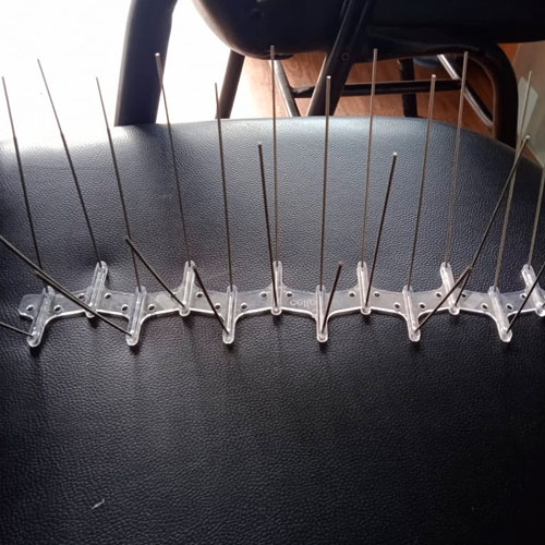 Laxmi Bird Net Services