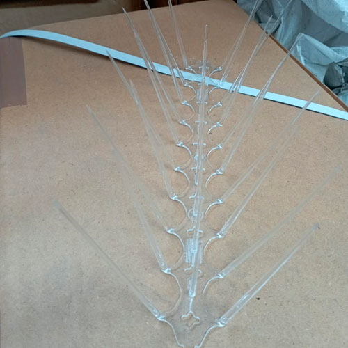 Laxmi Bird Net Services