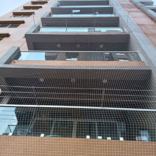 Laxmi Bird Net Services
